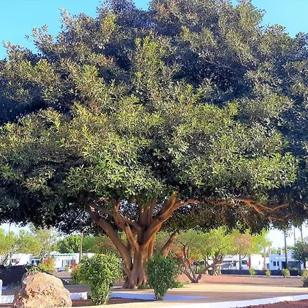 Lägenhetshotell Hyde Park Lane Puerto del Carmen (Lanzarote)