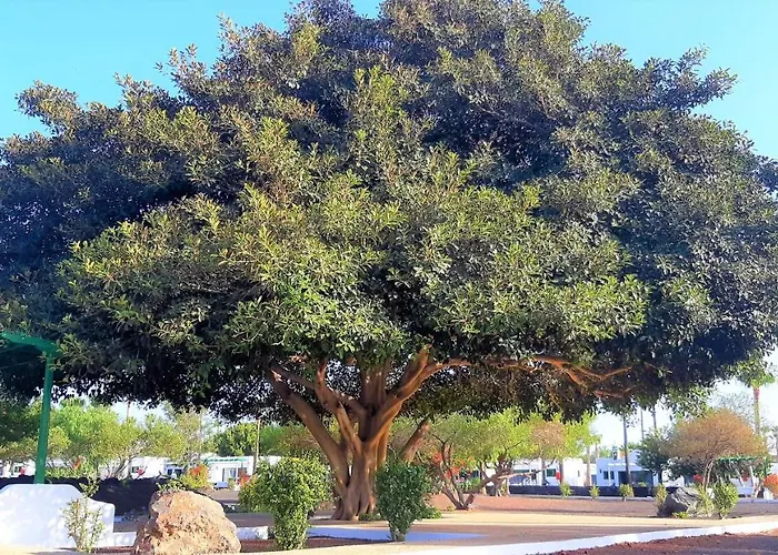 Апарт-отель Hyde Park Lane Пуэрто дель Кармен