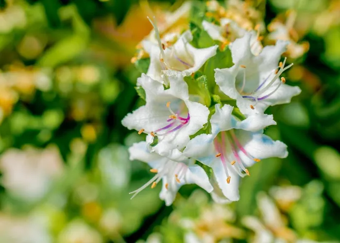 Hyde Park Lane Aparthotel 4*