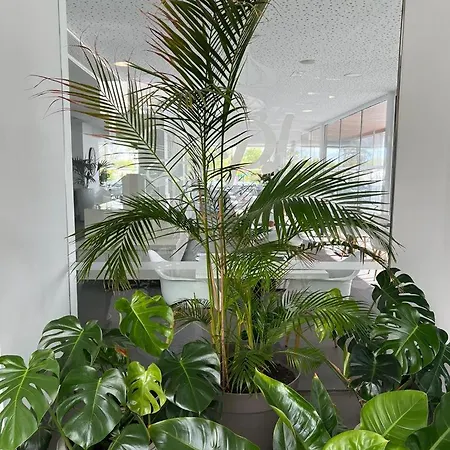 Hyde Park Lane شقة فندقية